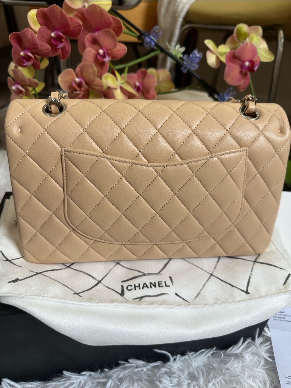 CHANEL Beige Quilted Leather Shoulder Bag with Chain Strap - Picture 3 of 16